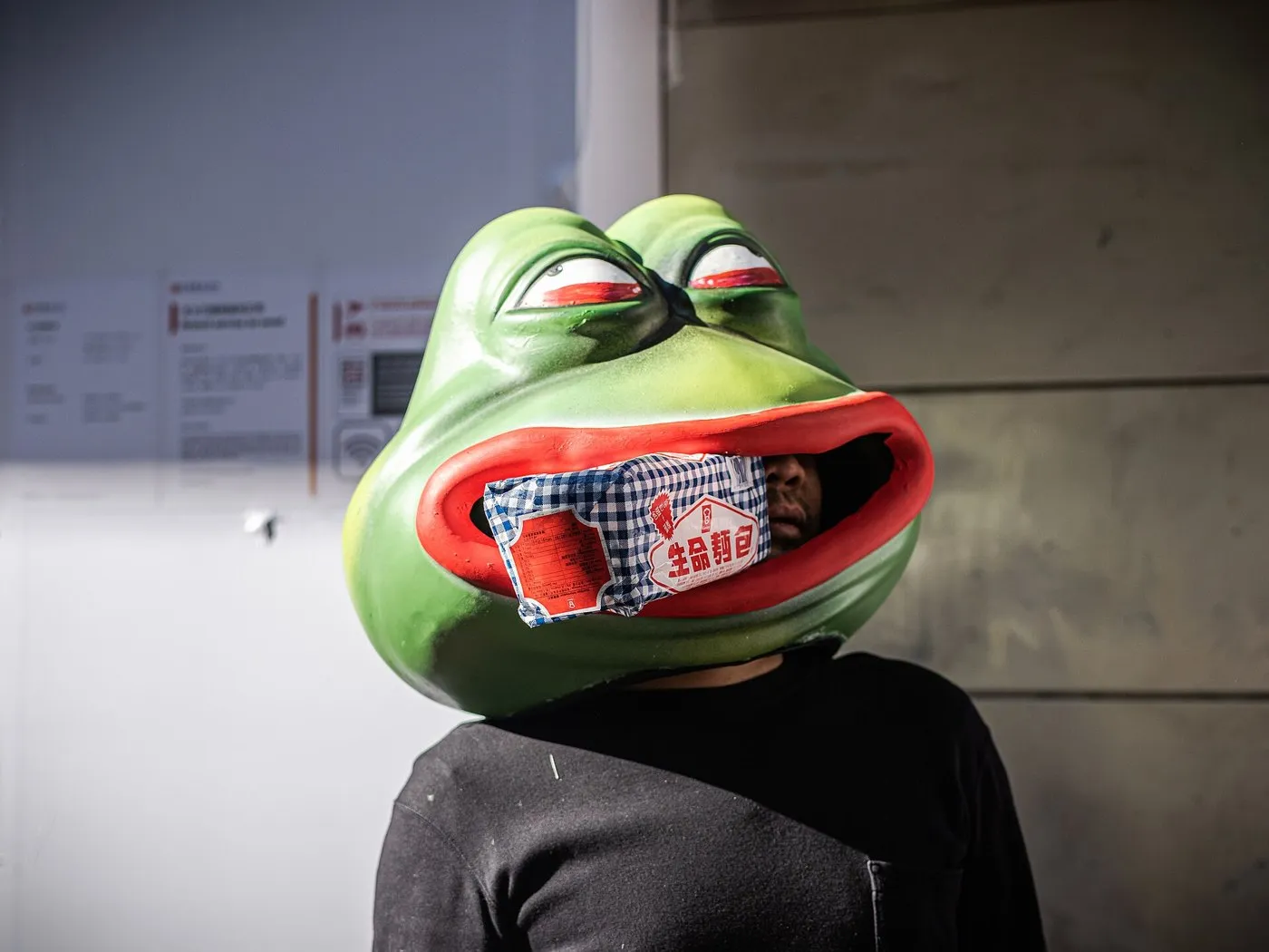 Protester wearing a Pepe the Frog mask, Hong Kong, 8 December 2019